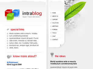 intrablog