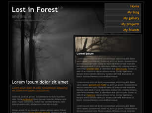 lost-in-forest-1.0