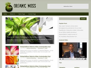 organic-moss