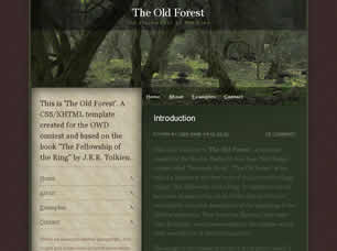 the-old-forest